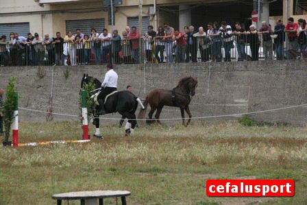 100602_Ippoclub2 107_tn.jpg